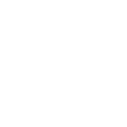 residential electrician icon